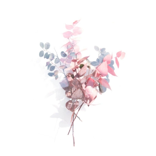 demo-attachment-1106-evie-s-vz3IQy0LOaA-unsplash-1024x1024-1
