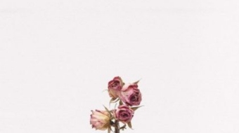 tanalee-youngblood-fsdWYNTymjI-unsplash-1024x1024-420x420