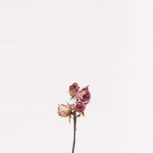 tanalee-youngblood-fsdWYNTymjI-unsplash-1024x1024-420x420